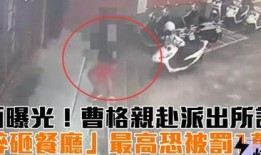 曹格儿子的爆料视频大全,爆料视频大全背后的温馨瞬间